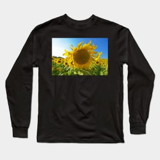 Colby Farms Sunflower Field Newbury MA Ball of Fire Long Sleeve T-Shirt